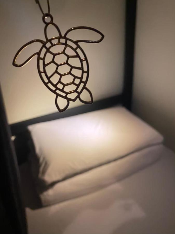 琉浪潛水背包客棧 Drift Diving Hostel Xiaoliuqiu Eksteriør bilde